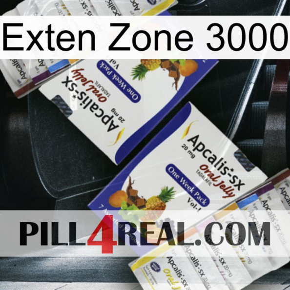 Exten Zone 3000 12.jpg